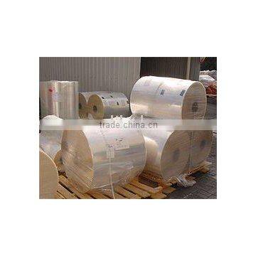 Polyester Film Metallisable Grade