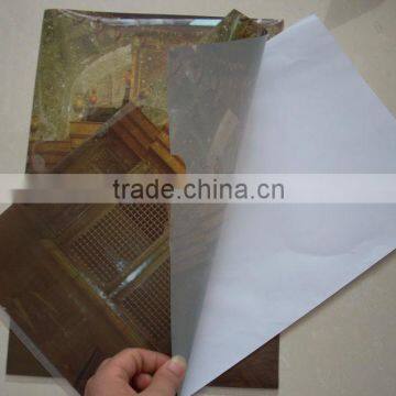 Custom made A4 size L shape pp folder, plastic file folder