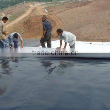 standard HDPE geomembrane