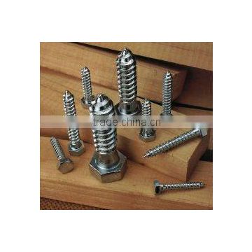 Hexagonal Head Phillips Screw