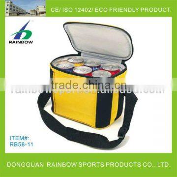 Bag for cooler
