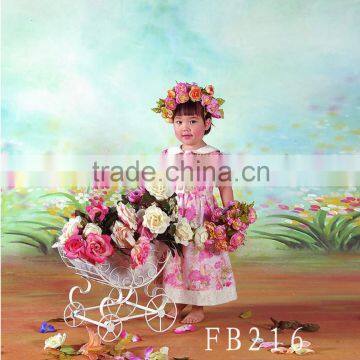 6 x 6 Meters Hand Painted Scenic Studio Background For Children