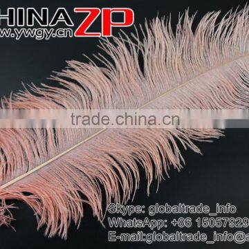ZPDECOR Trade Assurance Leading Supplier Wholesale Size From 50-55cm Cheap Dyed Champagne Ostrich Feather photo-5