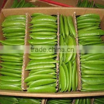 fresh green peas