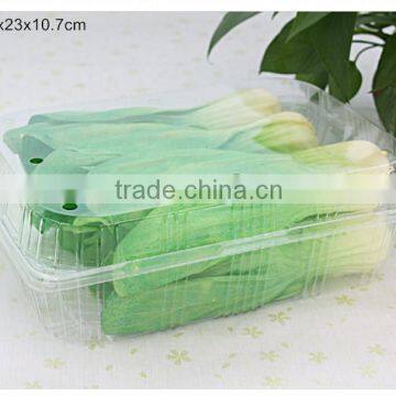 5500ml Large Size Disposable Clear Plastic Packing Box of Fruit Vegetable