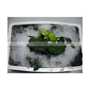 Green Broccoli From China Frozen Broccoli for Sale photo-4