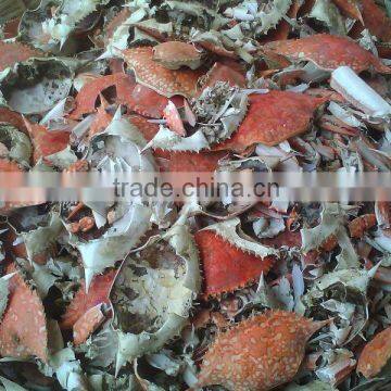 Crab shell