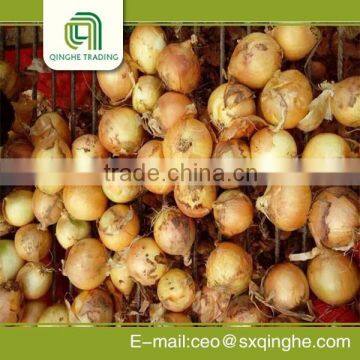 China origin fresh yellow onion price per ton