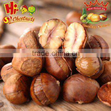 Organic Roasted Chestnuts in Shell Halal Snacks