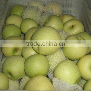 Juyuan Golden Delicious Apple