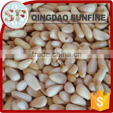 Wholesale organic pine nuts