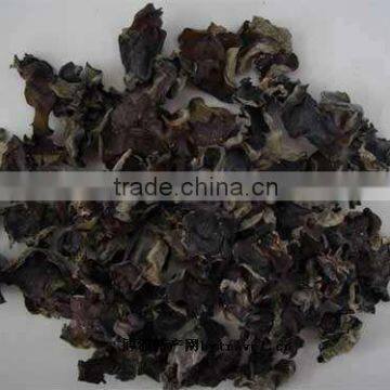 2013 Dried Black Fungus