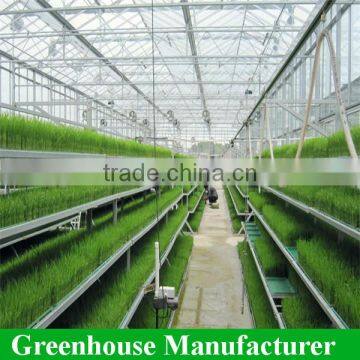 Customized High Quality Polycarbonate Sheet Agricultural Greenhouses photo-5