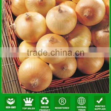 NON01 Aihuang hybrid onion seeds price, onion seeds for sale