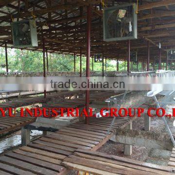 TAIYU Broiler Poultry Shed Design