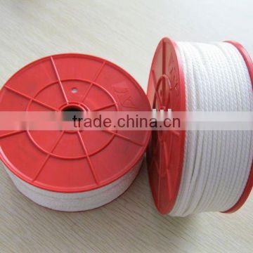 Braided Nylon cord/Mason line