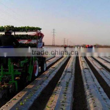 Hot Sale Push Seeder for Vegetable photo-6