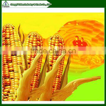 High automatically corn oil press machine with refinery process provided