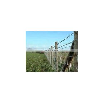 galvanized stock fence