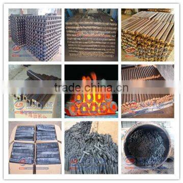 30 Years Manufacturer 250kg/h Factory Directly Selling Small Charcoal Briquette Making Machines photo-6