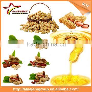 hot sale peanut oil filling machine filling equipment