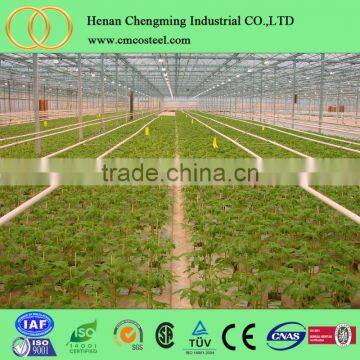 Vegetable Plastic Film Cover Tropical Greenhouses photo-3