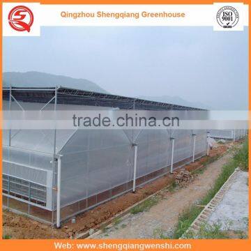 Agriculture Equipment Multi-span 8.0m PE Film Agriculture Greenhouse Plastic for Sale photo-4
