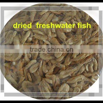 Freeze Fish Feed Dried Freshwater Shrimps