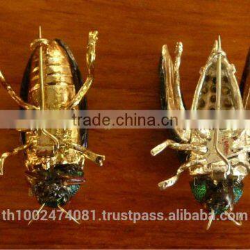 2014 Hot Sale Natural Beetle Brooches photo-2