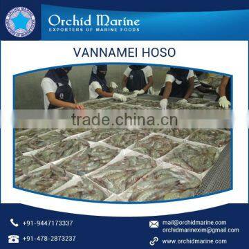 2017 Top Grade Delicious Shrimp Vannamei Available in Bulk Quantities