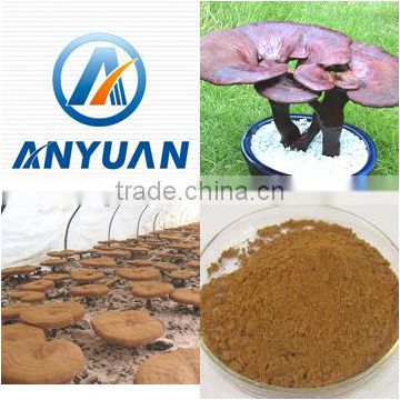 No Any Additives herbal medicine 100% Naturnal ganoderma lucidum extract