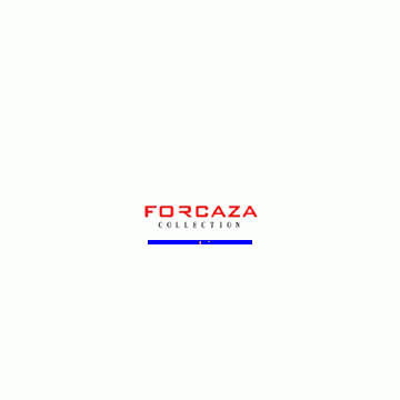 Zhejiang Forcaza Import & Export Co., Ltd.