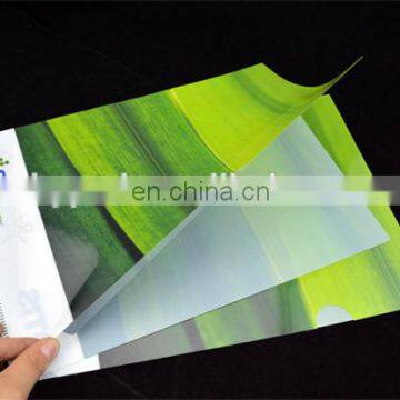 Cheap printing A4 custom plastic file folder for stationary office