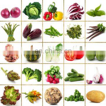 Fruit Cleaner Persimmon Papaya Carrot Washing Machine Restaurant Vegetable Washing Machine photo-3