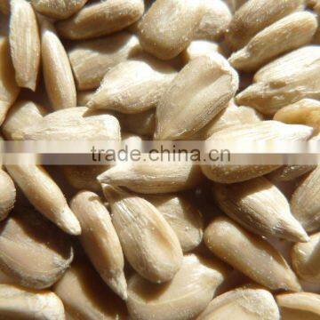 Organic sunflower kernel