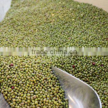 green mung bean from China