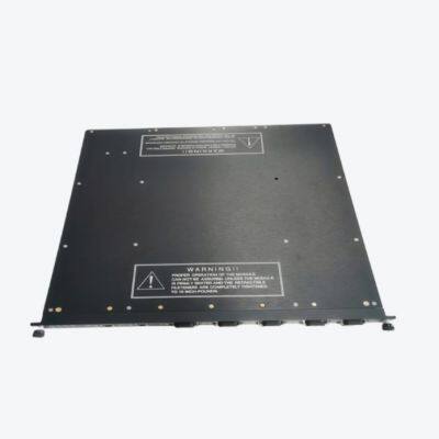 TRICONEX TRICON PLC 9785-610 The Analog Input Item Panel