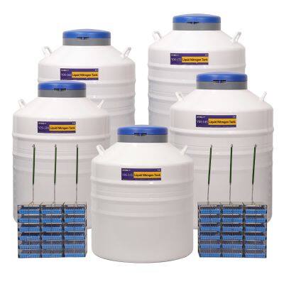 El Salvador Liquid Nitrogen Dewar Cell Storage Ln2 Dewar Place Of Origin
