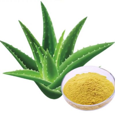 Aloe Vera Extract