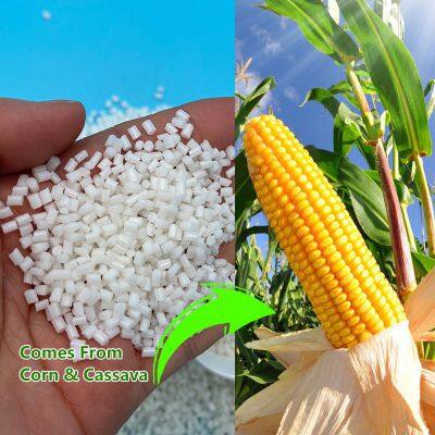 Biodegradable PLA Molding Grade Pellet Granules Film Grade Application for 3D Printing
