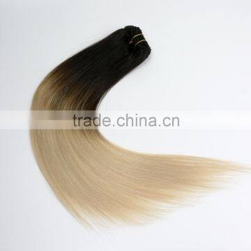 Wholesale double drawn colored brazilian human hair extension two tone clip in hair extensions                        
                                                                                Supplier's Choice