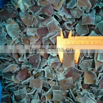 fresh IQF black fungus whole