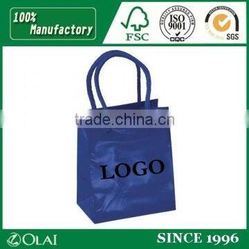 Custom Logo Printed Shopping Paper Bag