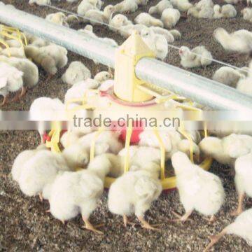 Ready Sale Automatic Chicken Feeder Equipment for Poultry and Broiler House photo-5