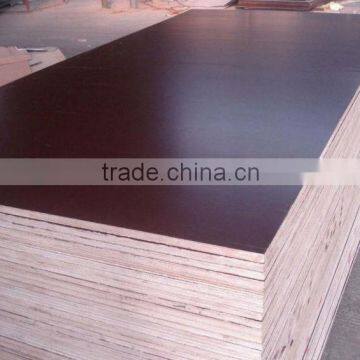 Shuttering Plywood/Waterproof Plywood/Construction Plywood