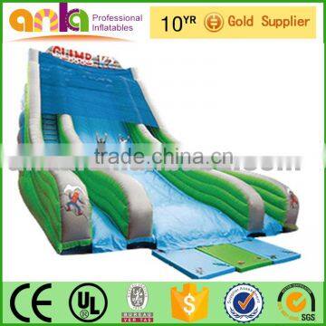 Waterproof Inflatable Castle Bouncer Inflatable Water Slide Supplier's Choice photo-2