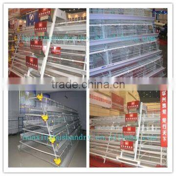Full equipped automatic cage for laying hen used