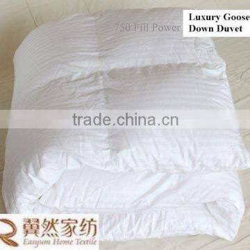 Luxury Germany Piping Edge White Goose Down Quilt photo-2