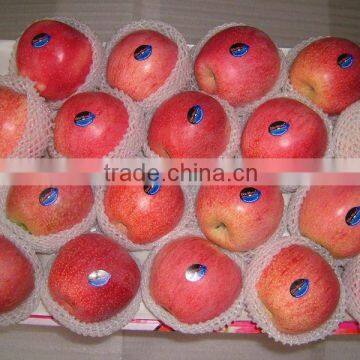 Chinese Fuji apple