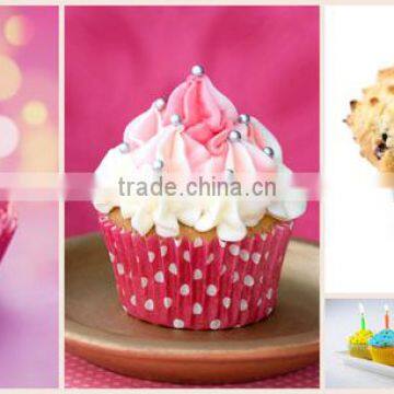DGT-400 Semi- Automatic Paper Liner Baking Cup/paper Cups Forming Machine